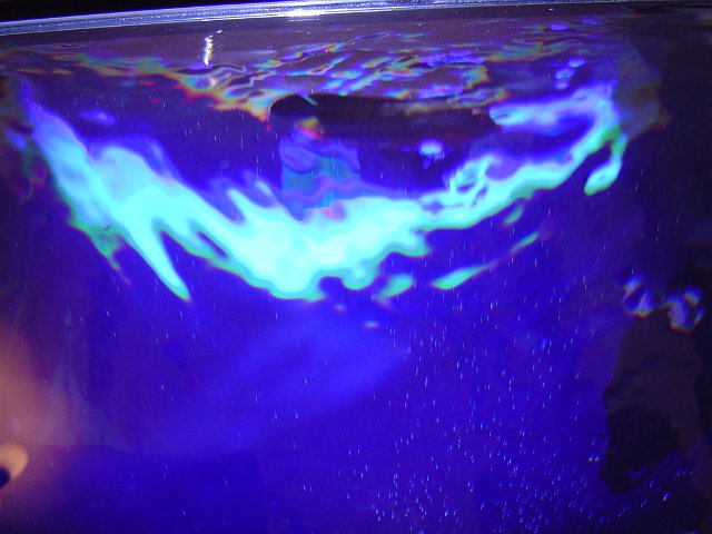 a surreal ultraviolet light glow with rippling water