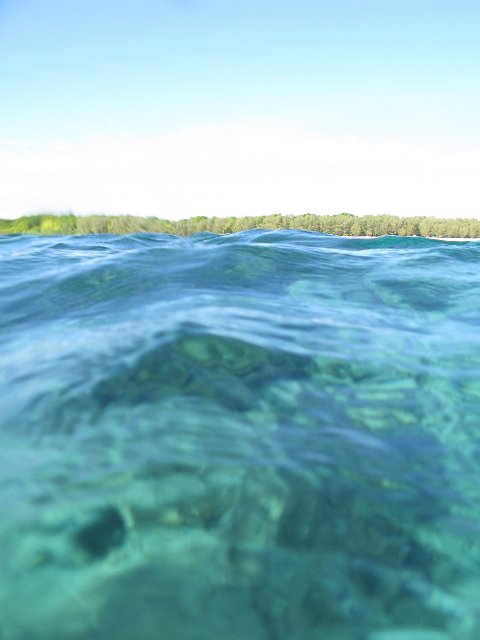 point of view - swimming off a tropical island