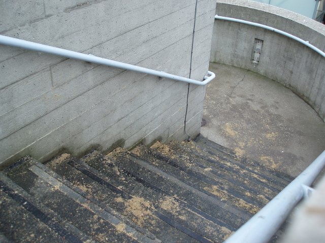 The South Bank Centre, brutalist concrete