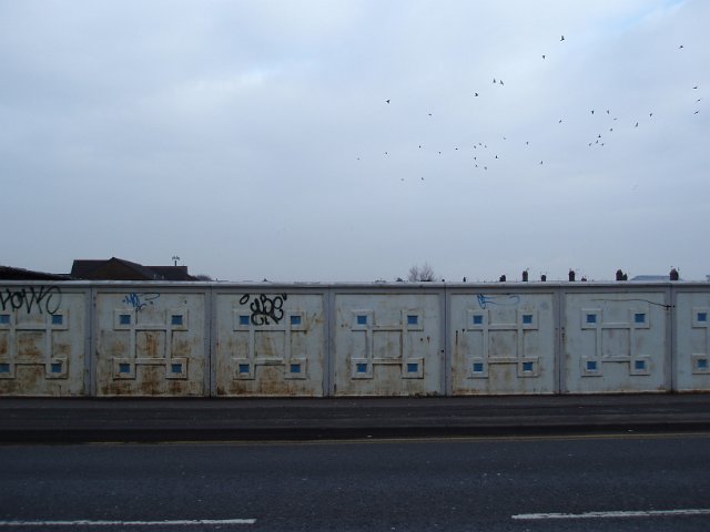 gloomy day with pigeons, cardiff, wales