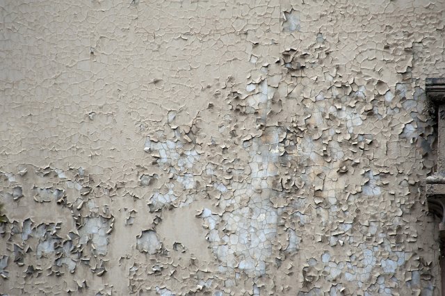 Grunge surface with old weathered rough peeling paint flaking off on a concrete wall in a full frame background texture
