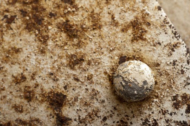 Rusty metal surface with old damaged white paint, viewed in close-up with round rivet head in detail