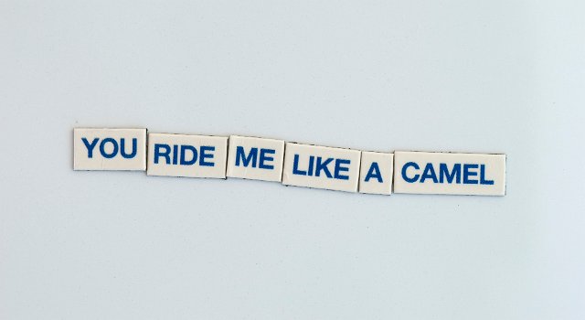 the stark rantings of the fridge magnet fairy - you ride me like a camel