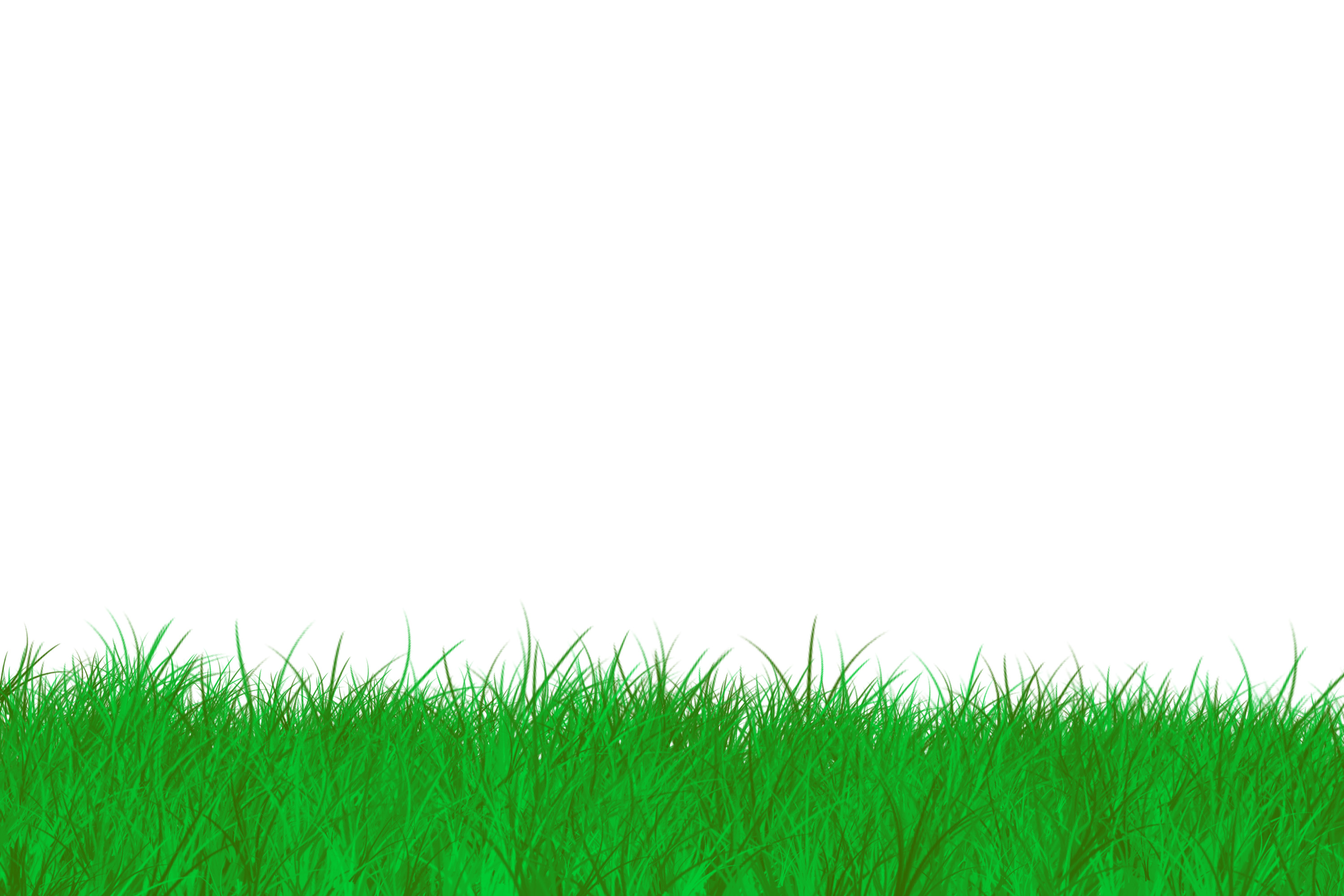 Green Grass Border Free Backgrounds And Textures Cr103