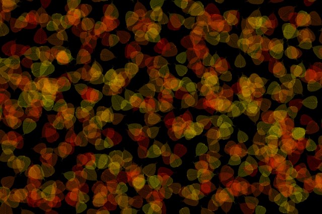 soft autumnal colours red orange leaves on a black backdrop