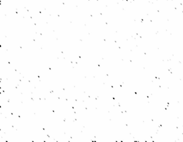 starfield with motion blur white