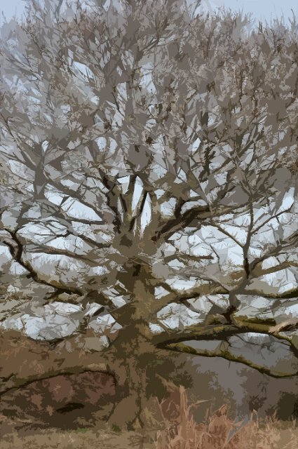 an old tree with a triangular graphic effect