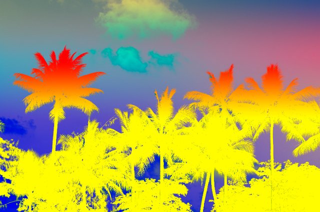 a psychedelic yellow orange coloured background of tropical palm trees