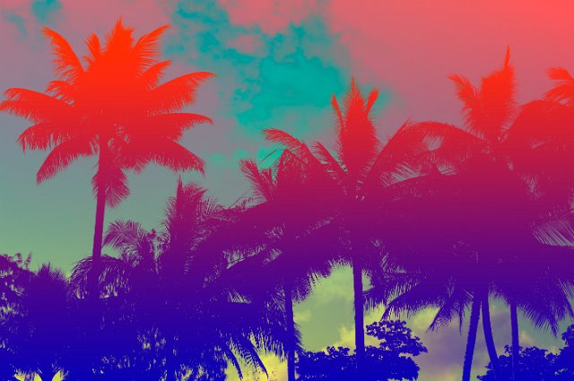 a psychedelic coloured background of tropical palm trees in blue and red colours