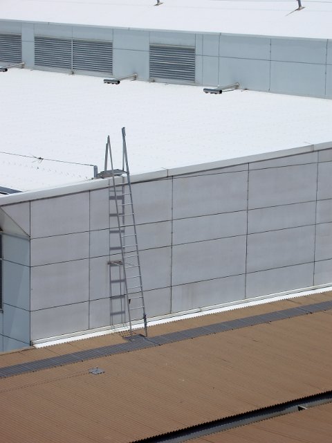 rooftop access ladder