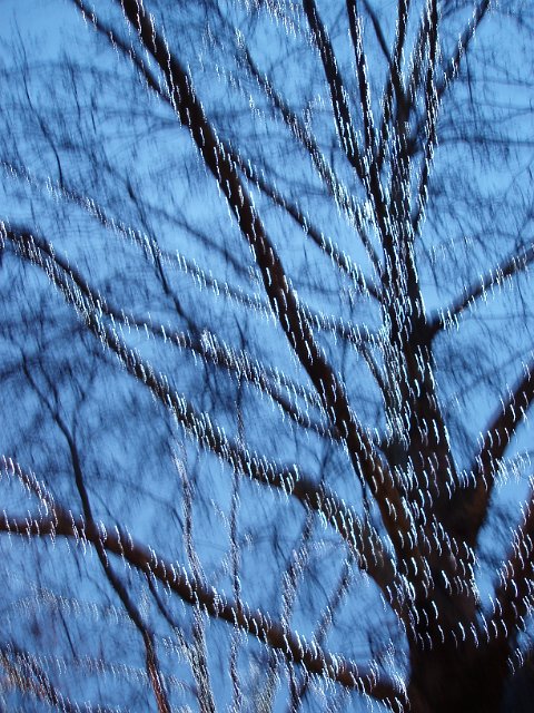motion blurred image of white led lights on a winter tree