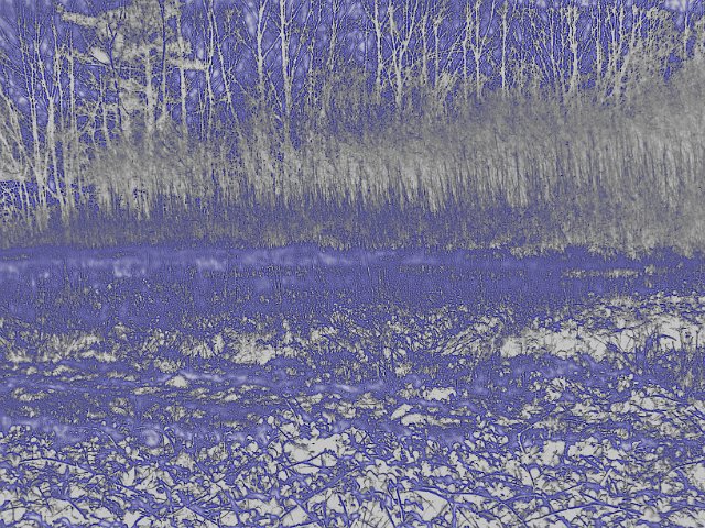 landscape with a grey blue solarised posterised effect