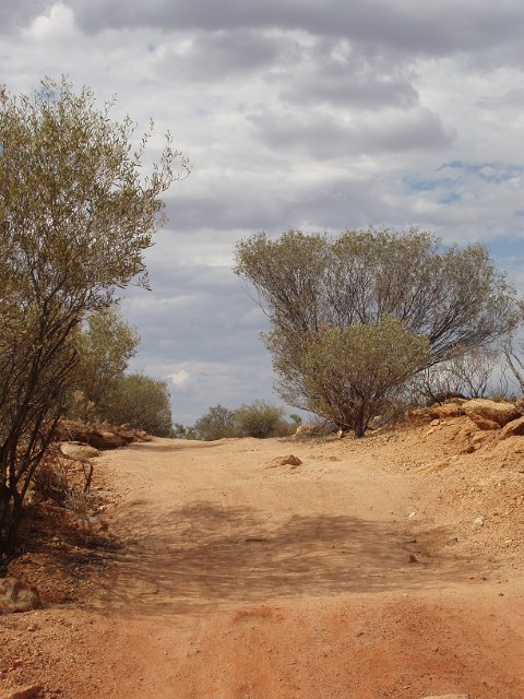 view along a dusty old dirt road in the outback