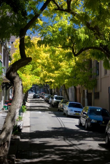 a narrow sydney residential street