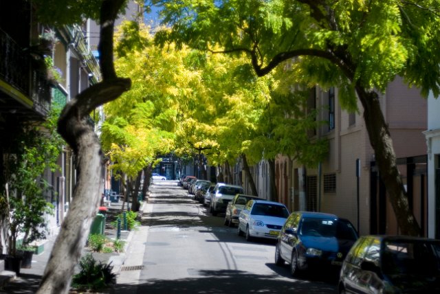 a narrow sydney residential street