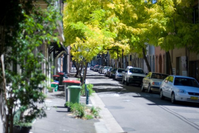 a narrow sydney residendial street with a soft focus look