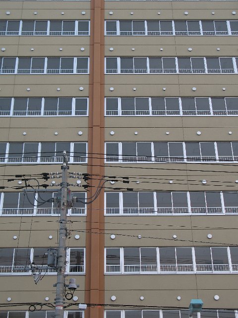 rows on window on multiple levels in an office building