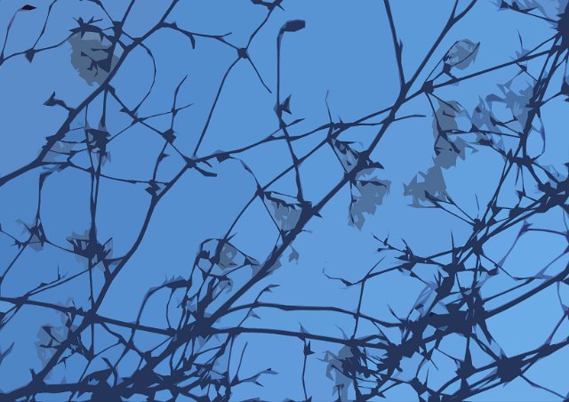 blue sky and random plant background