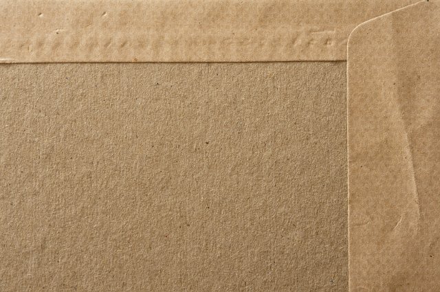 a cardboard padded envelope