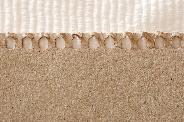 cardboard background with torn rings from a spiral bound notebook