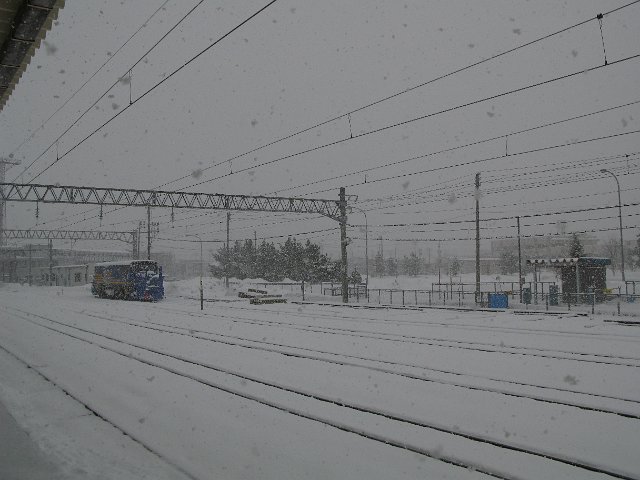 a train running along lines blanketed with snow