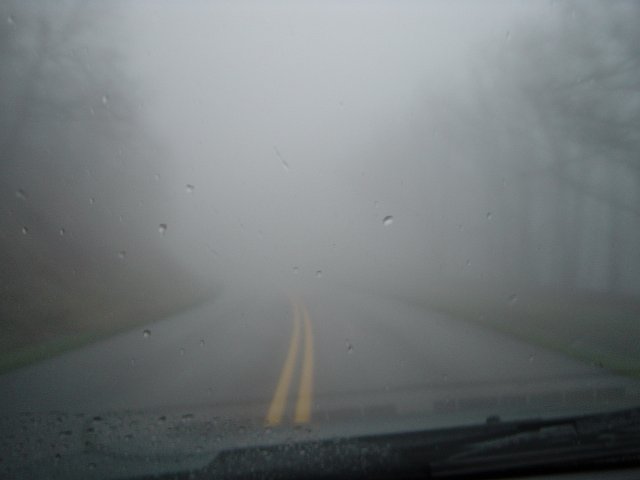 fog or mist on the road
