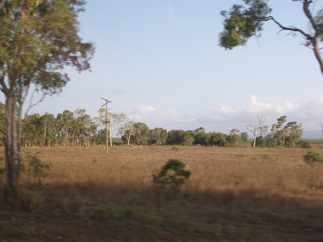 queensland rural landscape with lone power pole