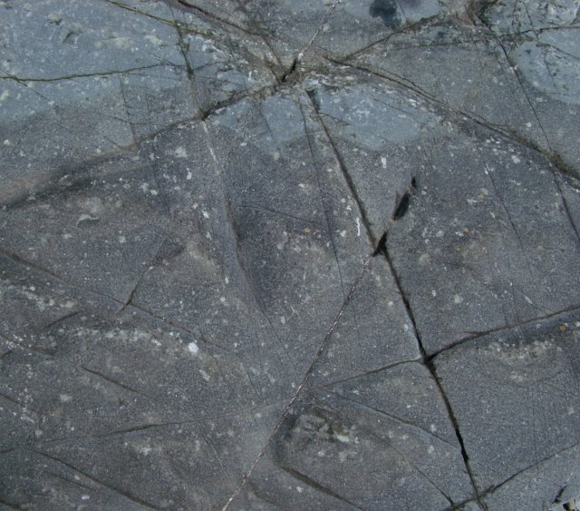 ice cracked pattern in a sheet of slate rock