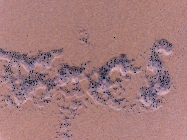 false coloured bubbles on a sandy beach