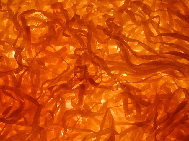 small strips of paper making an unusual texture