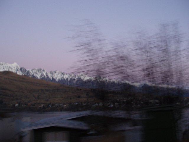 remarkables at dusk obscured by blurred tree branches