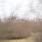 Next image