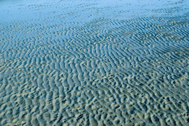 wave patterns in estury mud