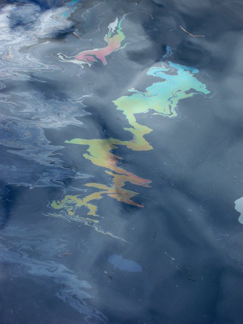 rainbow pattern in an oil slick film on the surface of water