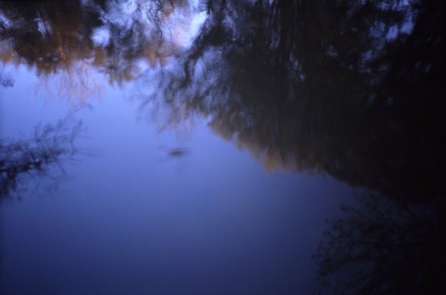 ethereal reflection on dusky water