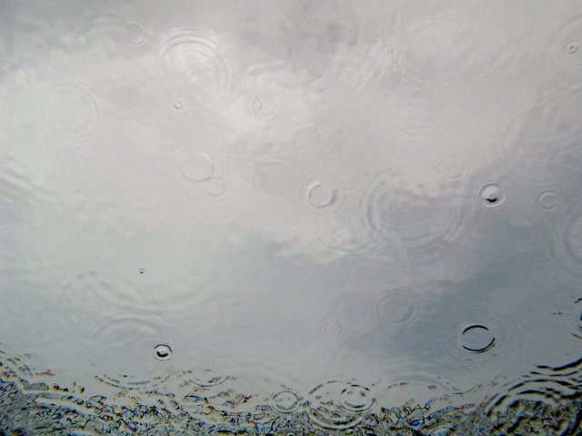 circles formed by rain drops landing on a pool, pictured from under the surface