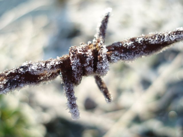 rusted and frost covered.