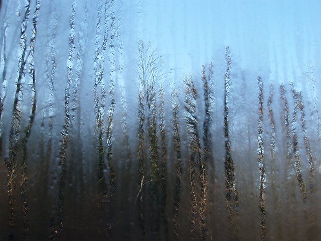 condensation running down a window with the focus on the view outside