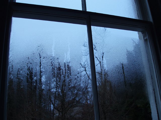 looking out through a window on a winter morning