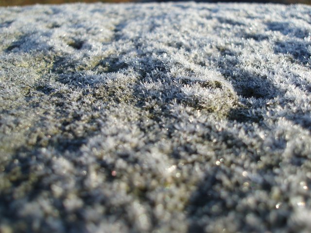 macro image of frost crystals growing on a stone wall
