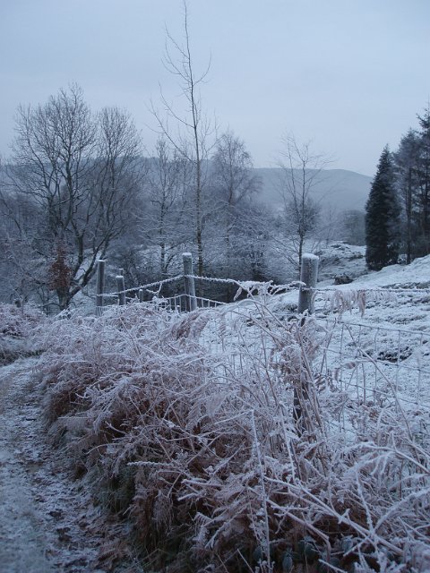 winter scene on a rural lane