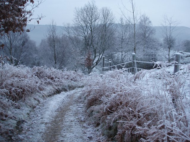 winter scene on a rural cart track