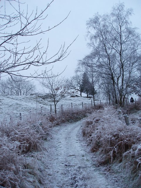 winter scene on a rural lane