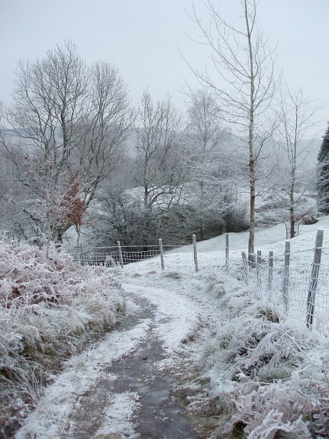 winter scene on a rural lane