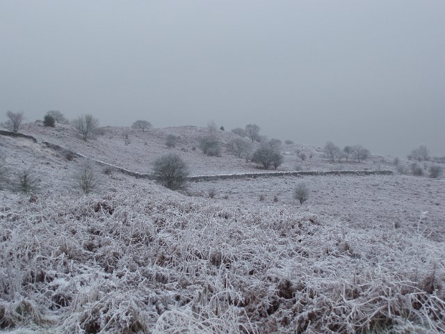 frost morning with frozen bracken on a cumbrian fell