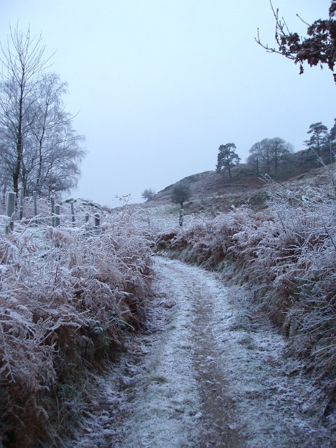 icy cold winter scene on a rural lane