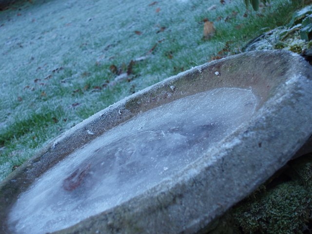 frozen birdbath and frost lawn winter morning scene