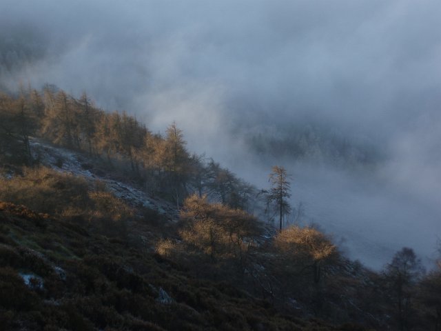 cold misty winter landscape on a steep hillside looking down to a fog filled valley below