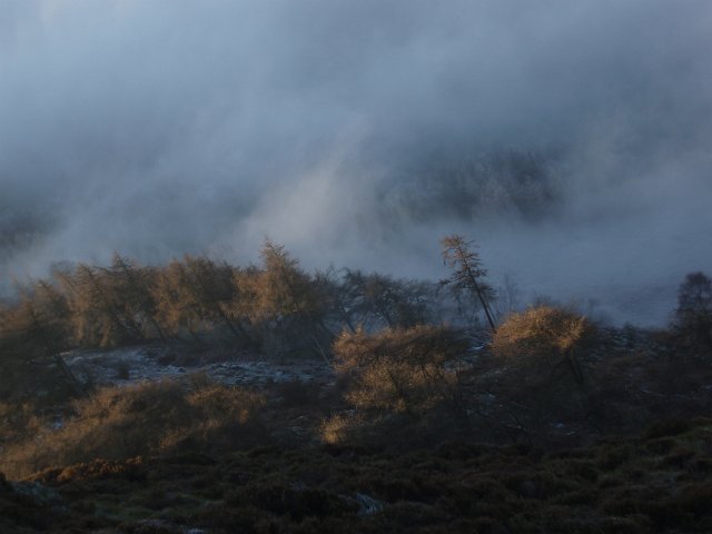 wintery fog bound landscape in the lakedistrict, uk