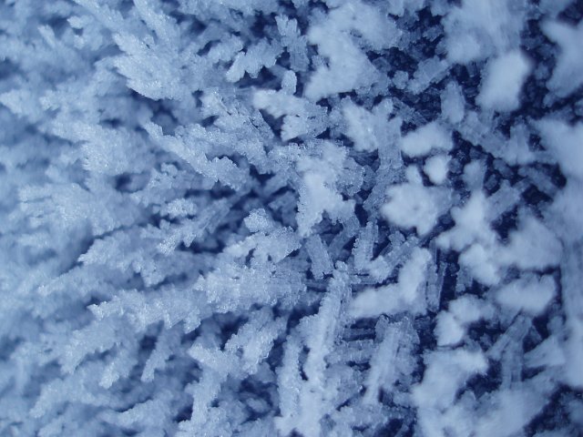 macro image of frosty ice crystals after several nights growth